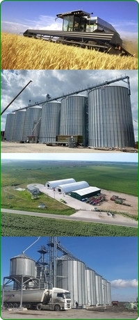 Agricultura in Romania
