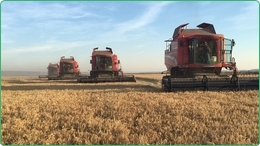 Ferma irigata de 1400 Ha de vanzare